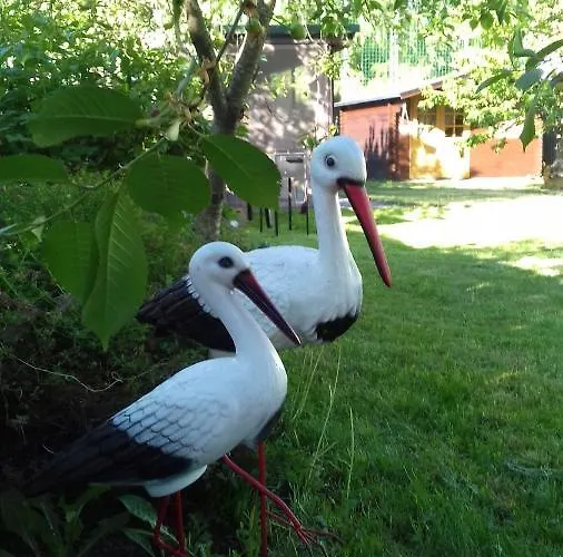House In The Garden *