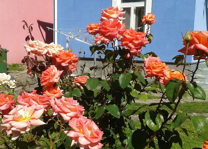 Holiday park House In The Garden Parnu